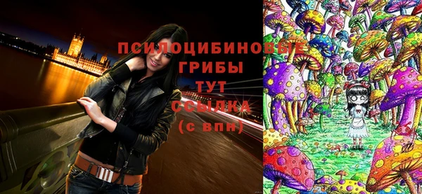 ГАЛЛЮЦИНОГЕННЫЕ ГРИБЫ Нязепетровск