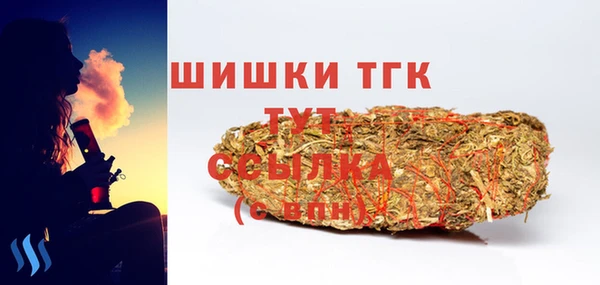 спайс Няндома
