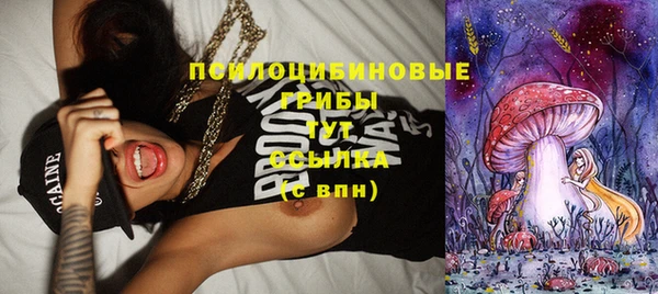 ГАЛЛЮЦИНОГЕННЫЕ ГРИБЫ Нязепетровск
