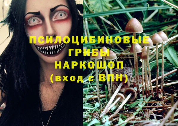спайс Няндома