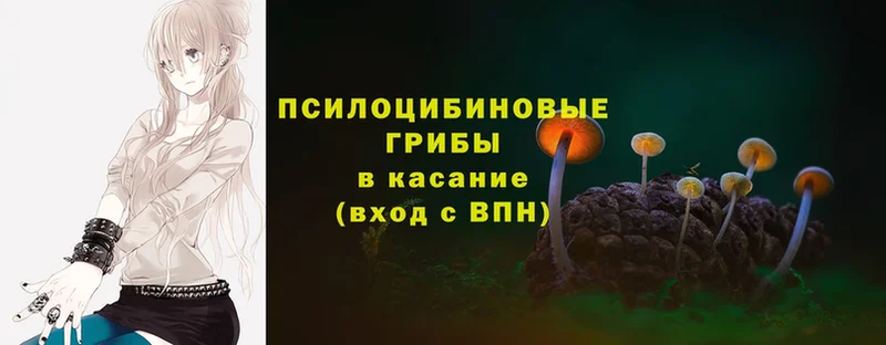 Псилоцибиновые грибы Cubensis  где купить наркоту  Каневская 